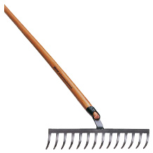 Rex 54589