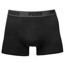 Puma boxer