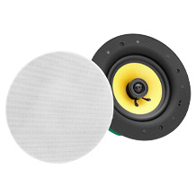Pronomic haut-parleur encastrable