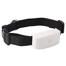 Zeerkeer collier gps pour chats