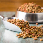 alimentation diététique pour chiens