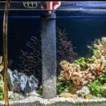 aspirateur de boues pour aquarium