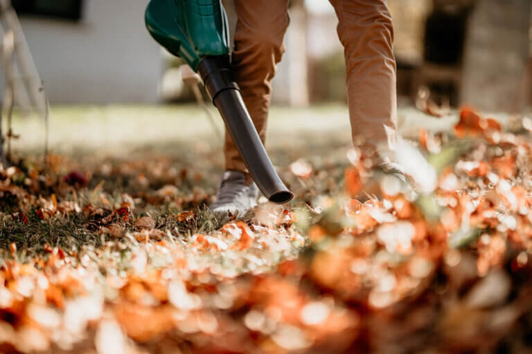 aspirateur de feuilles sans fil