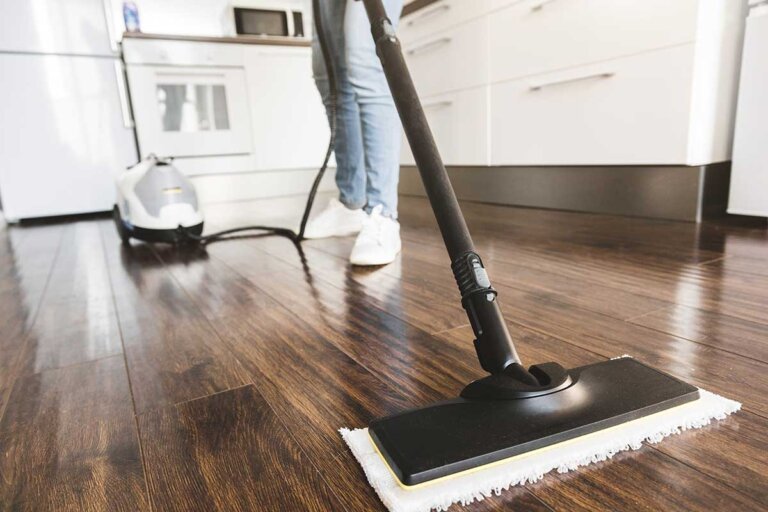 aspirateur vapeur