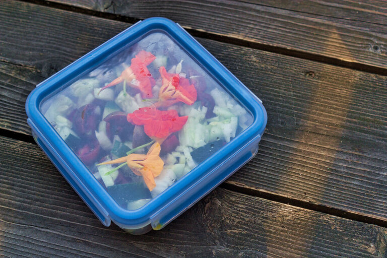 boîte alimentaire