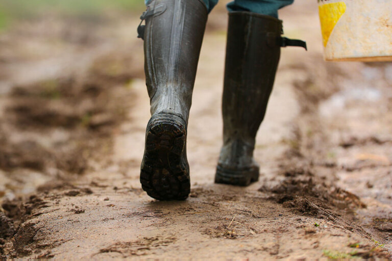 bottes en caoutchouc