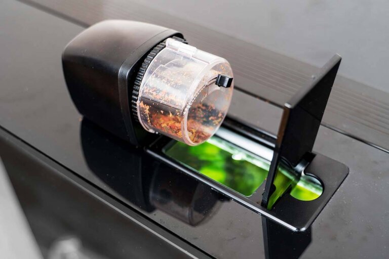 distributeur de nourriture automatique