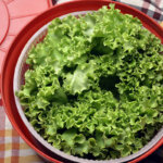 essoreuse à salade