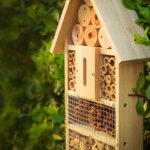 hôtel à insectes