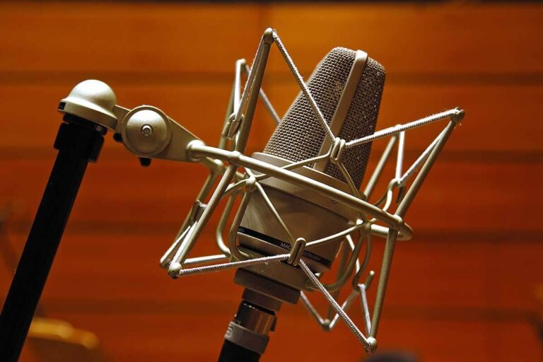 microphone directionnel