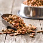 nourriture sèche pour chiens