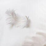 oreiller en plumes