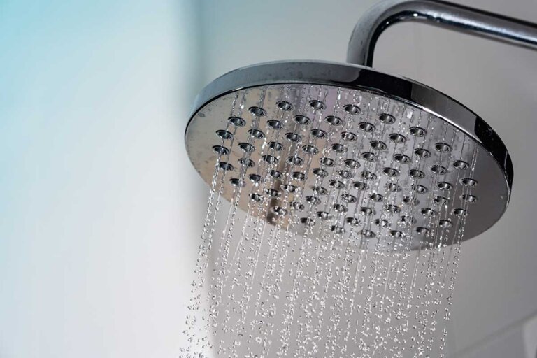 pommeau de douche pluie