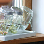 pot pour germination