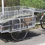 remorque cargo pour vélo