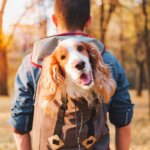 sac à dos de transport pour chiens