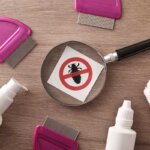 shampoing anti-poux