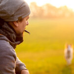 sifflet pour chiens