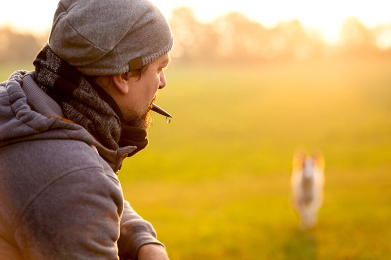 sifflet pour chiens
