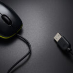 souris