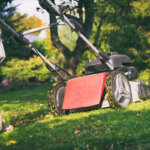 tondeuse avec fonction mulching