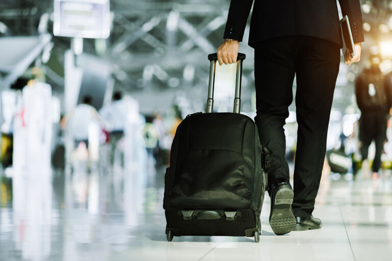 valise