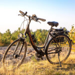 vélo de trekking