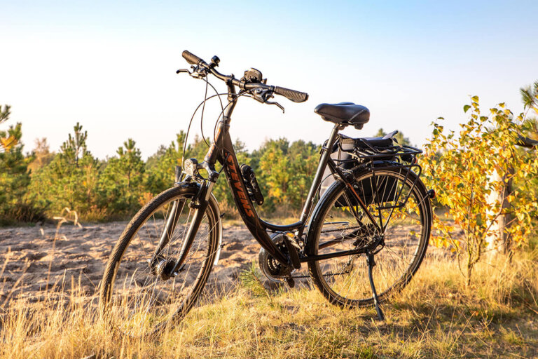 vélo de trekking