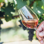 vin sans alcool